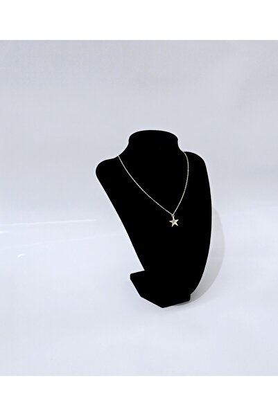 takı tutkusu ZİNCİRLİ YILDIZ KOLYE