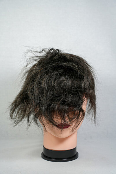 Number One Hair HOLLYWOOD 6X9 2B