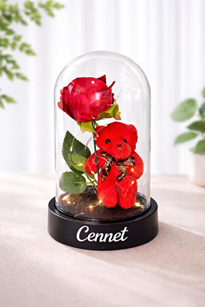 lovrime Kişiye Özel Sevgiliye Hediye Işıklı Kırmızı Ayıcıklı Fanus - Kırmızı ...