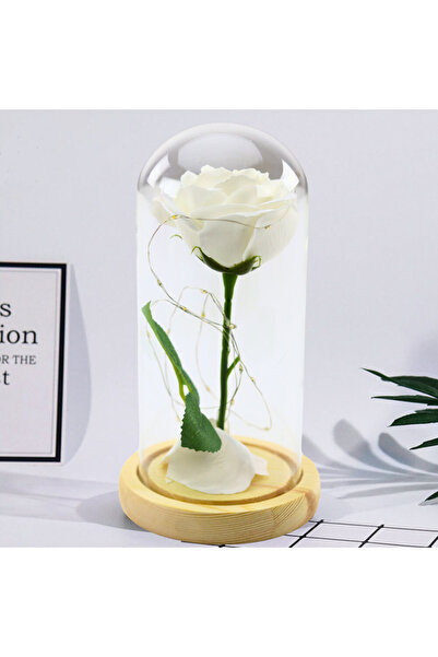 Three top online Trandafir etern în cupolă de sticlă, iluminat cu LED, alb, 2...