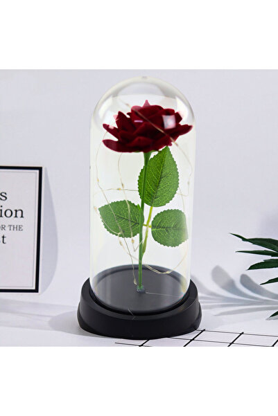 Three top online Trandafir etern în cupolă cu iluminare LED roșie 21x11cm