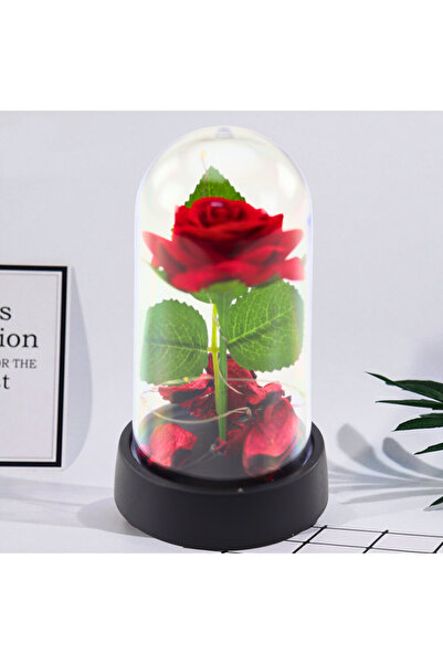 Three top online Eternal Rose in Dome with LED Lighting Red with Rose Petals