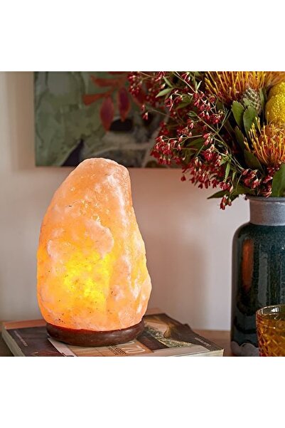 edogalmarket Himalaya Tuz Lambası 20 M2 Kadar Etkili %100 Doğal Ampul Kablo D...