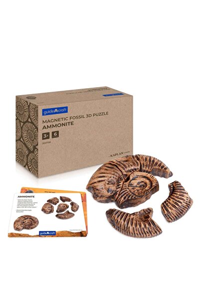 Guidecraft Fosile Ammonite, set magnetic 3D, Guidecraft, copii varsta 5+ ani