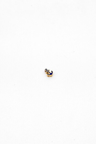 Alex and Ani Women Stainless Steel Infusion Anchor Slider Charm, Blue