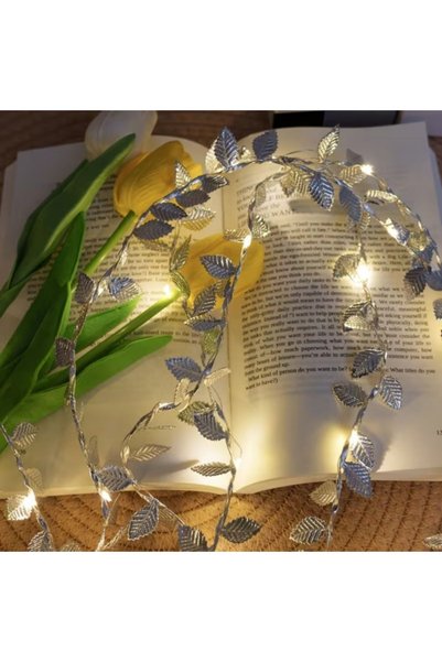 NW NessiWorld 3 أمتار من إضاءة LED الفضية المذهبة
