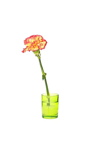 Missi Flora Design-Minimal Green Glass Vase
