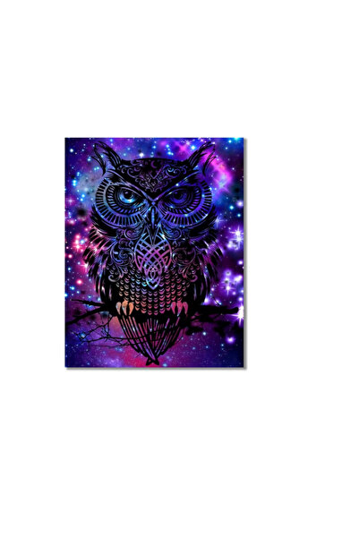 Bougimal 5D diamond painting set owl pattern, 40 x 50 cm, canvas, resin, mult...