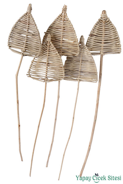 Yapay Çiçek Sitesi Rattan Spear Mızrak 60 Cm 5li