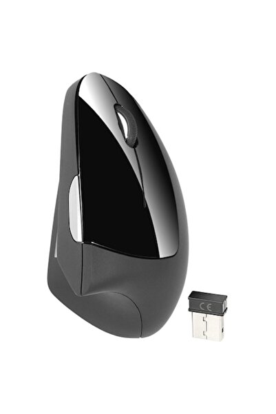 Tracer Mouse wireless Flipper RF