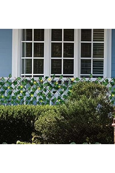 SHOPIENS Ecran din lemn cu frunze și 50 de becuri LED cu 8 funcții 170 x 90 c...