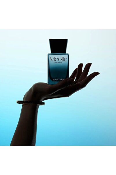 Meolle Room air freshener with scented sticks 100 ML DARK CITRUS