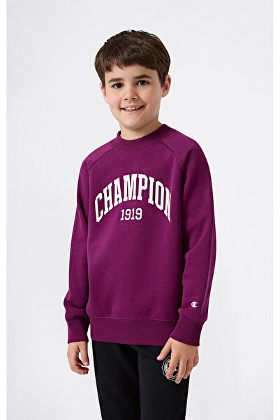 Champion State Of Play Crewneck Sweatshirt