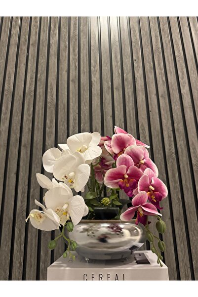 Acarya Design Pembe Beyaz ikili ıslak orkide aranjmanı