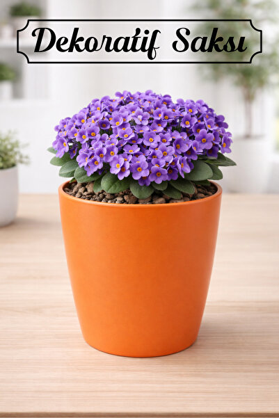 Badem10 Turuncu Kırılmaz Plastik Dekoratif Saksı (1 Adet) 15CM Orkide Çiçek B...