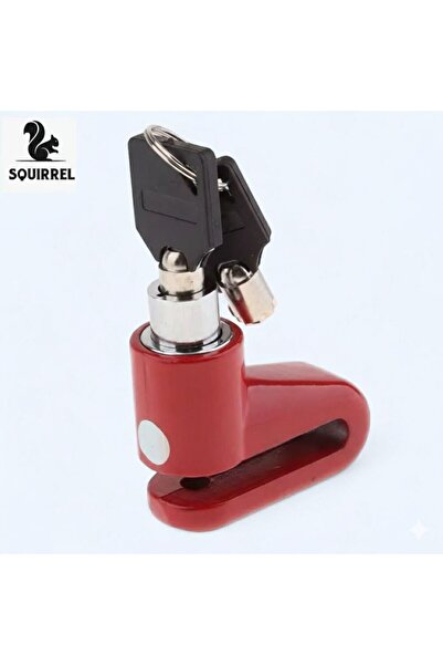 Squirrel بيت مفتاح تشغيل