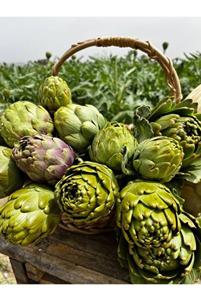 NEVARSAEGEDEVAR Dalından (Soyulmamış) Taze Kalp Enginar 1 Adet