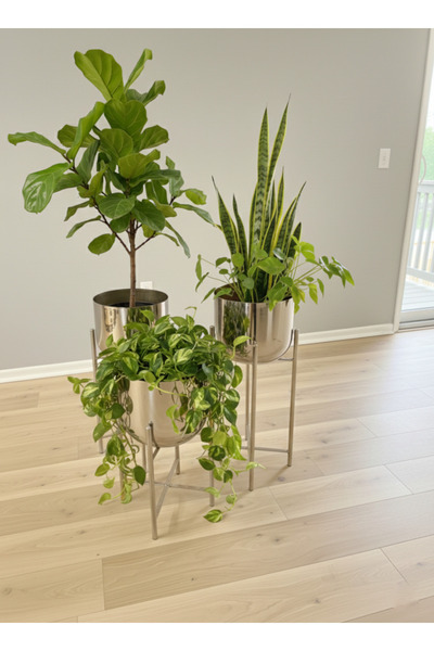 ARVIO HOME ARVIO Metal Ayaklı 3'lü Saksılık