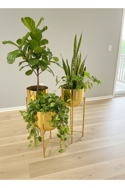 ARVIO HOME ARVIO Metal Ayaklı 3'lü Saksılık