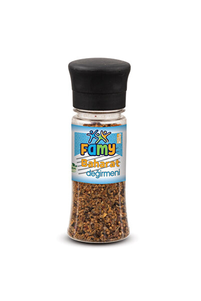 DEĞİRMEN KARIŞIK BAHARAT 90 GR