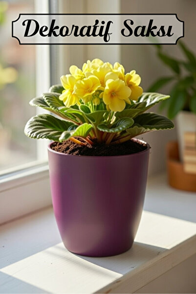 Badem10 Mor Kırılmaz Plastik Dekoratif Saksı (1 Adet) 15CM Orkide Çiçek Bitki...