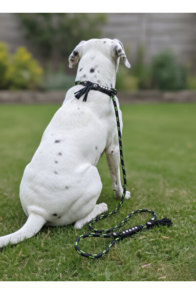 balkonda Dog Walking Leash Collar Model 6 cm Diameter Skotoc Halat