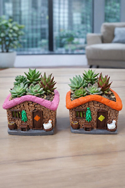 Markerartzi Ev Sukulent saksı