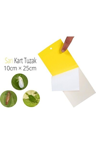 Yellow Sticky Board Trap for Greenhouse and Garden - Sticky Fly Insect Trap - 20 Cm X 10 Cm - 10 Pcs