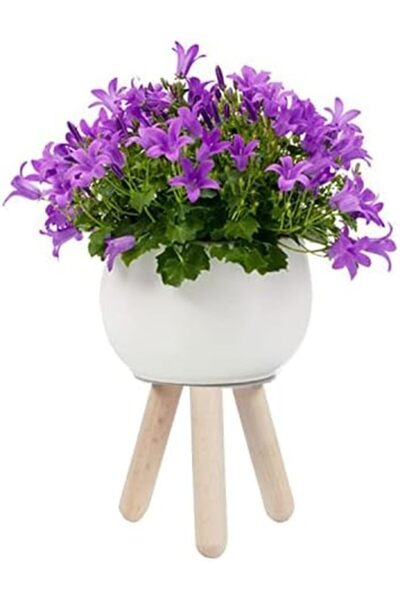 Nacario مجموعة NrcrioShop الخشبية المكونة من أزرق بلون الكوبالت قطع 1201248