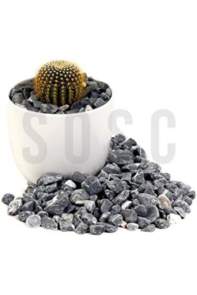 Nacario Nrcrioshop Pebble Stone Dolomite Stone Garden Ornament Aquarium Stone...