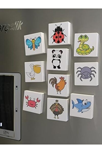 Nacario Nrcrioshop Efe's Zoo Series-2 / Magnetic Educational Toy 20 Animal Fi...