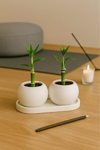 Yıldızan brkshop Dekoratif Tepsili Çift Mumluk ve Takı Düzenleyici | 3 Parça ...