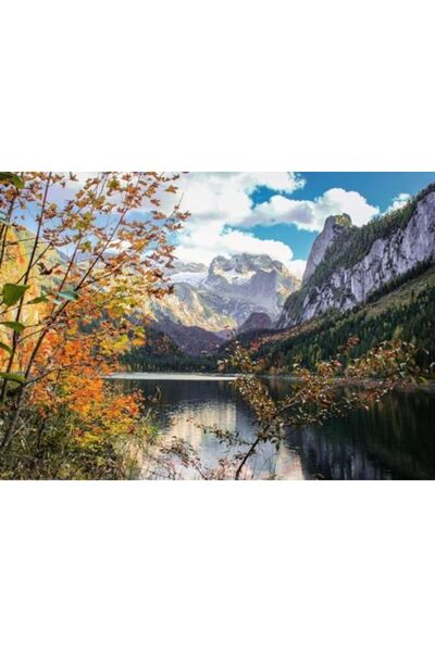 Nacario Nrcrioshop, 1000P Puzzle Austria, Adult Puzzle 1201248