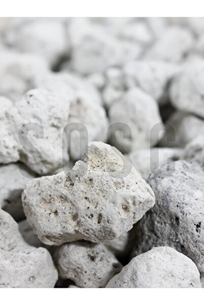 Nacario Nrcrioshop Natural Volcanic White Lava Stone, Decorative Pumice Stone...