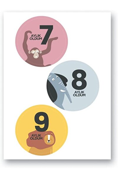 Yıldızan مجموعة ايسن شوب ليكولور للأطفال 1209132