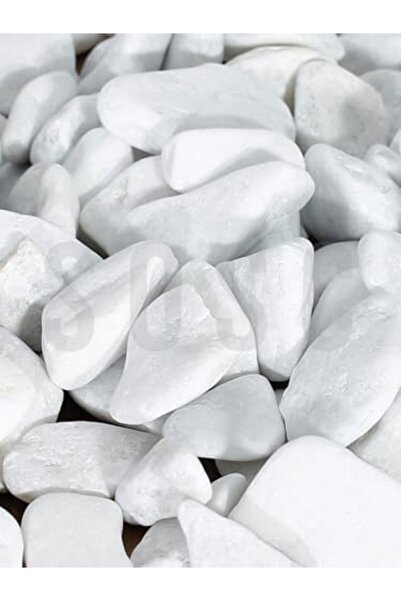 Nacario Nrcrioshop Natural White Dolomite Decorative Pebble Stone, 2-4 Cm, 3 ...