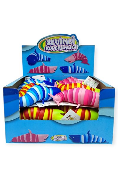 doremodam PYR-003 - سمكة القرش الصغيرة فيدجيت 24 (ليسينيا)