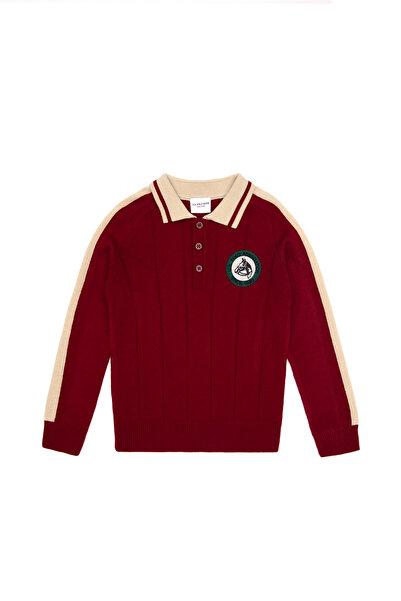 U.S. Polo Assn. Boy's Burgundy Polo Collar Sweater 50315629-Vr177