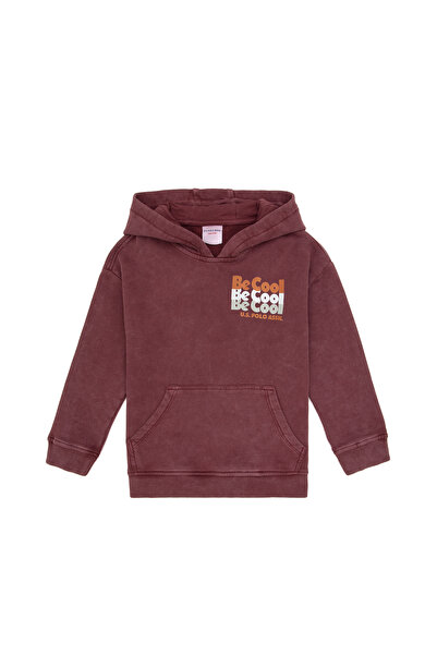 U.S. Polo Assn. Hanorac cu glugă pentru băieți, culoare burgundy 50315750-VR177