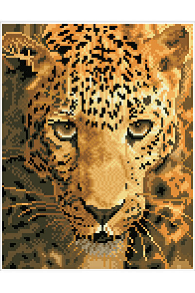 diamond dotz Tablou cu diamante înrămat – Jaguar, 28 x 36 cm