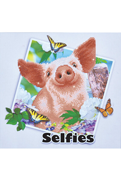 diamond dotz Tablou cu diamante - Purcelușul Babe, 40 x 42 cm