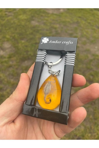 Mezat Tesbihane Real Scorpion Fossil Keychain |   Inside Transparent Resin |   Collectible Item