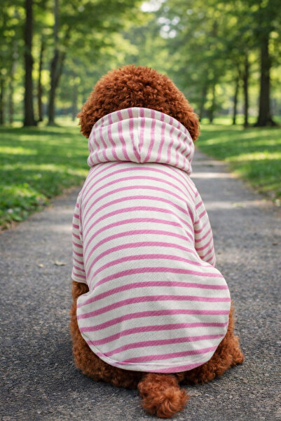 petite pati Pembe Cizgili Köpek Sweatshirt | Kapşonlu, Kışlık Köpek Kıyafeti