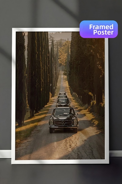 Zestia Pictură de perete înrămată albă, decor clasic pentru sufragerie, cu co...