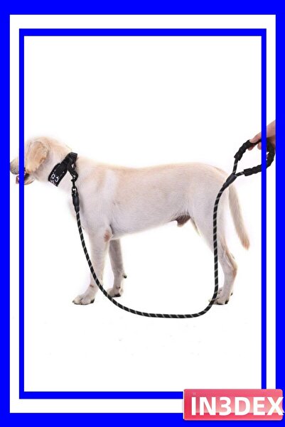 İN3DEX Reflective Thread Dog Walking Leash 130cm Length