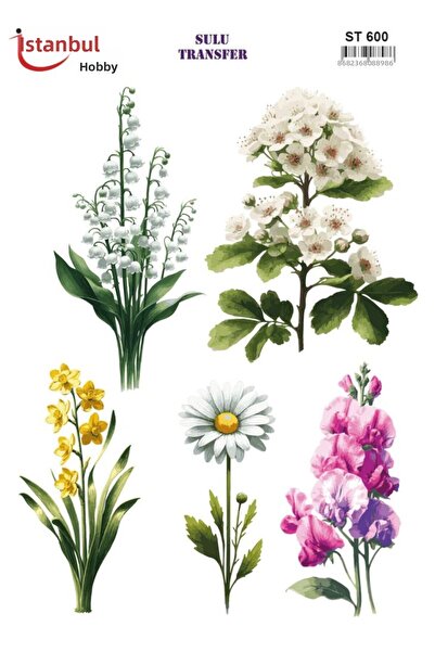 İstanbul Hobi Water Transfer Paper 25X35Cm St-600