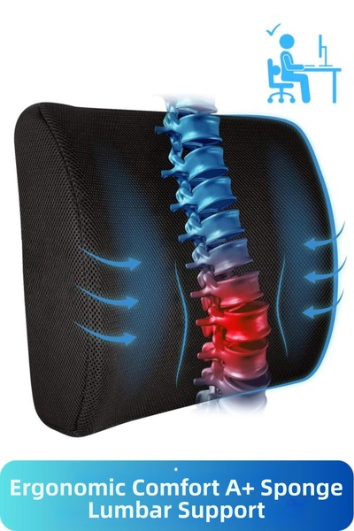 pierrebella كرسي مكتب لتقويم العظام، مقعد السيارة، وسادة دعم الخصر، وسادة الظهر