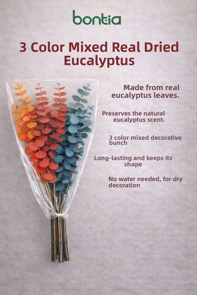 Bontia حزمة أوكالبتوس حقيقية مختلطة بثلاثة ألوان - أوكالبتوس للزينة - أوكالبت...