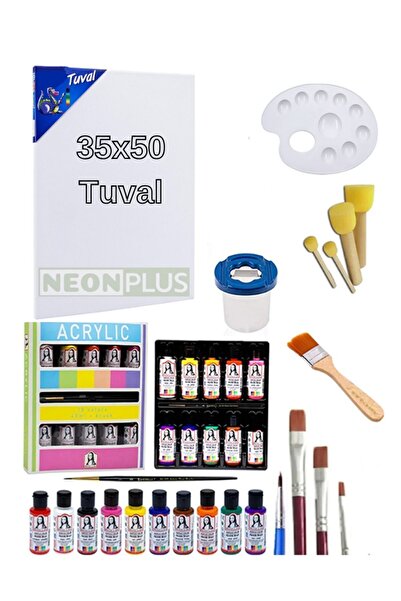 NEON PLUS Lüks Akrilik Boya Başlangıç Seti 35x50 Tuval