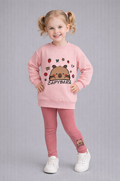 Beray Bebe de tranziție Set de 2 piese pentru fetiță: Sweat cu 2 fire cu mode...